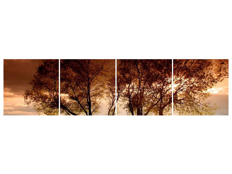 Obraz stromů (F000520F16040)