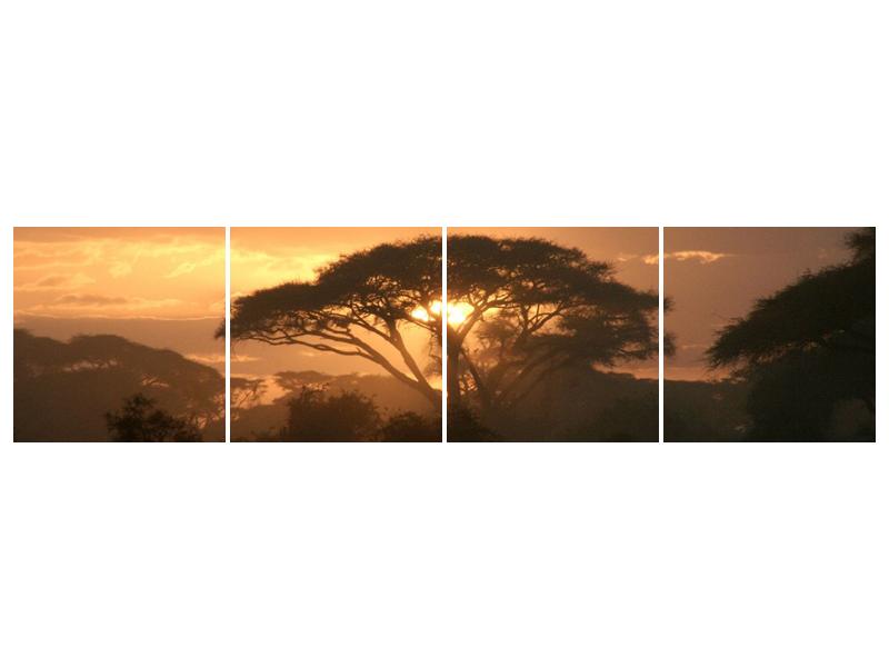Obraz stromu a západu slunce (F000523F16040)