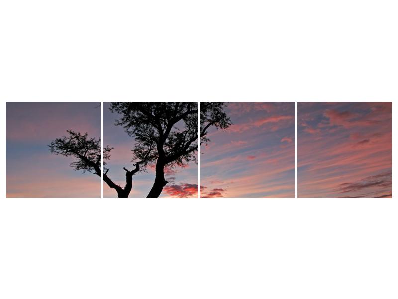 Obraz stromu a červánků (F000530F16040)
