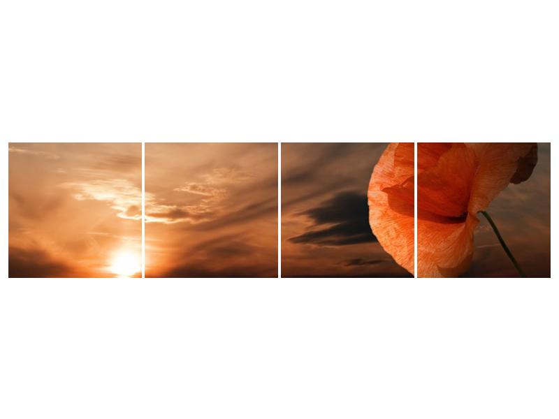 Obraz západu slunce (F000604F16040)