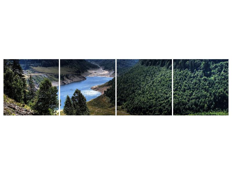 Obraz řeky a hor (F000615F16040)