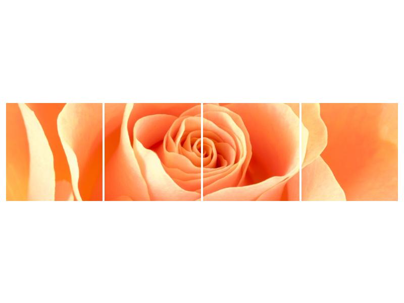 Obraz růže (F000693F16040)