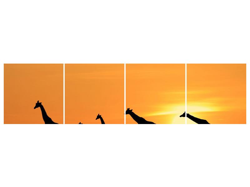 Obraz žiraf v západu slunce (F001074F16040)