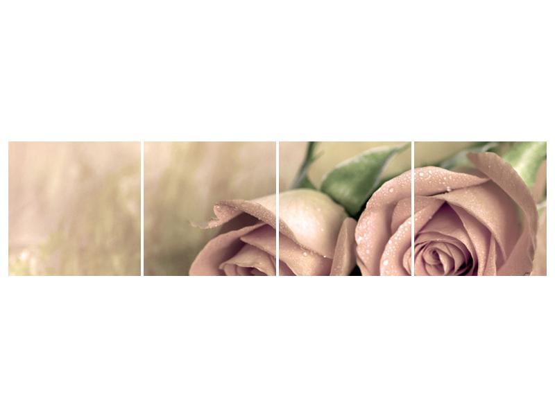 Obraz jemných růží (F001212F16040)
