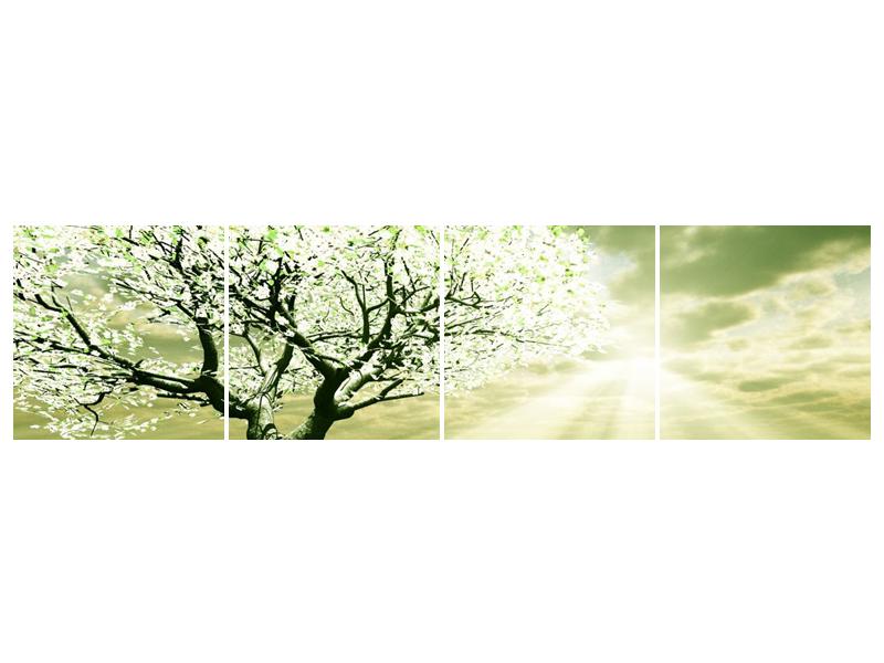 Obraz stromu na jaře (F002291F16040)