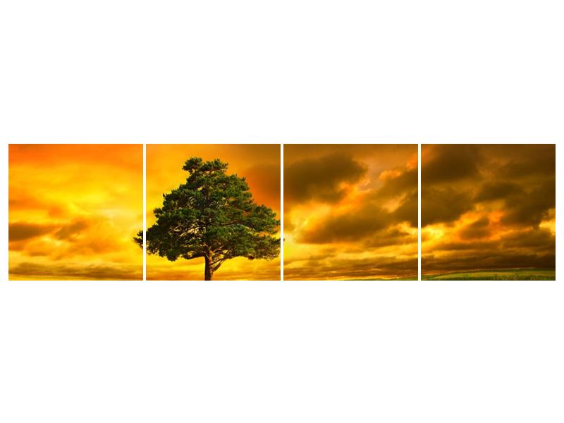 Obraz osamoceného stromu na louce  (F002617F16040)