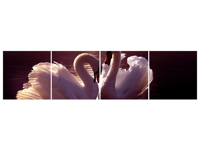 Obraz labutí na jezeře  (F002698F16040)