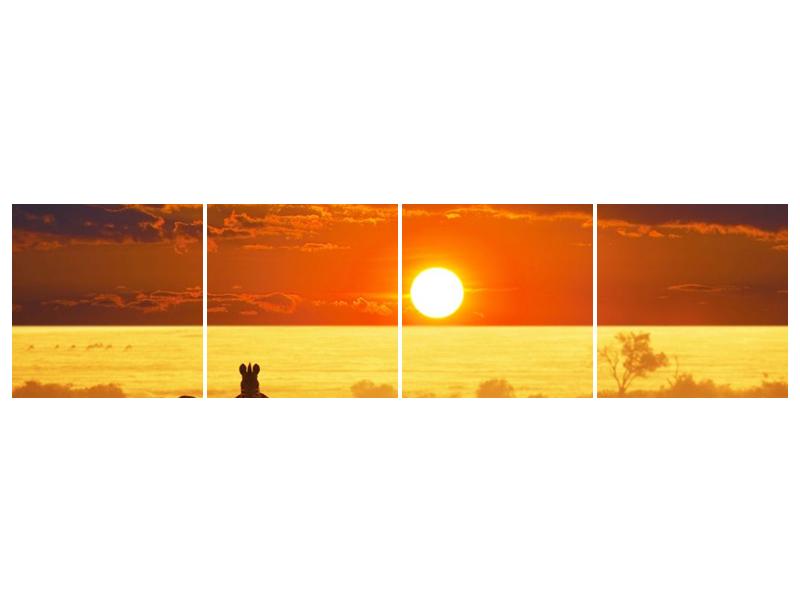 Obraz zeber se západem slunce  (F002898F16040)