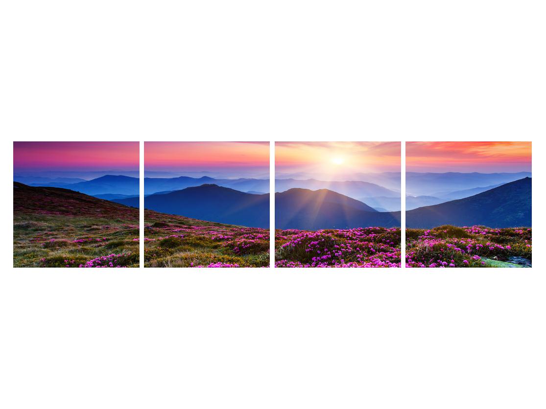 Slika gorske cvetoče pokrajine (K011322K16040)