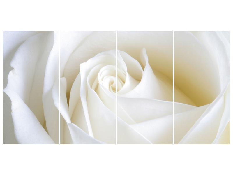 Obraz bílé růže (F000471F16080)