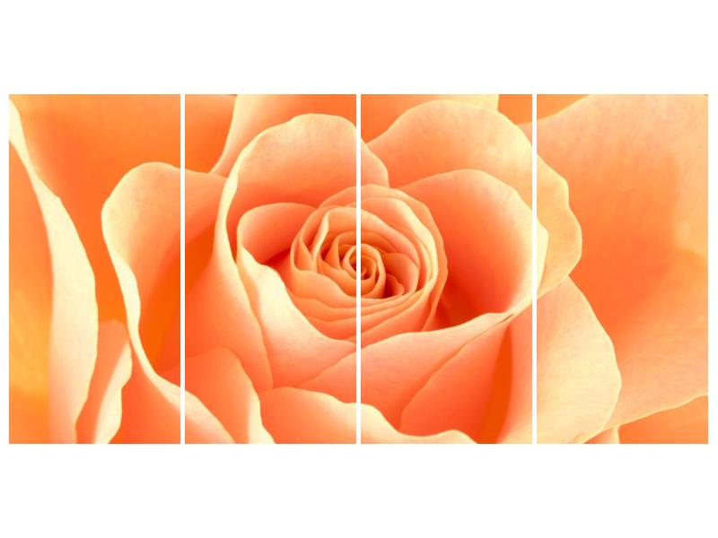 Obraz růže (F000693F16080)