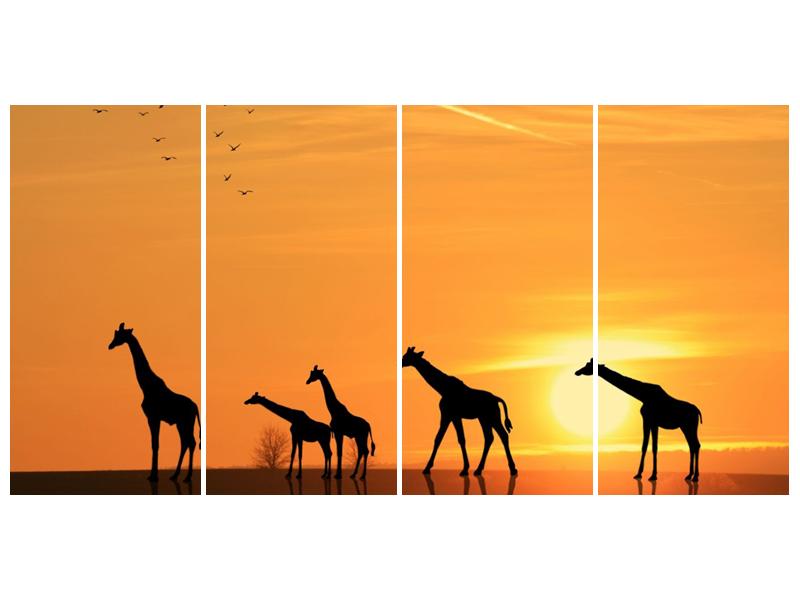 Obraz žiraf v západu slunce (F001074F16080)