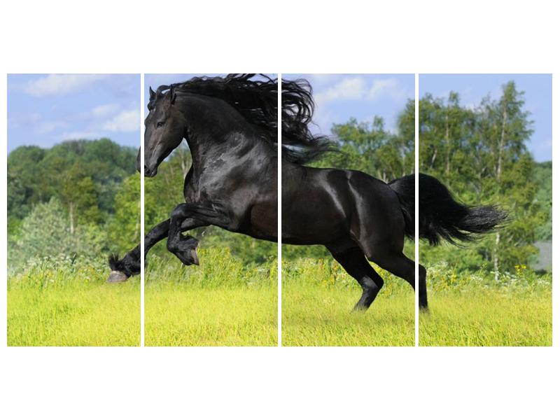 Obraz koně s rozevlátou hřívou  (F002685F16080)