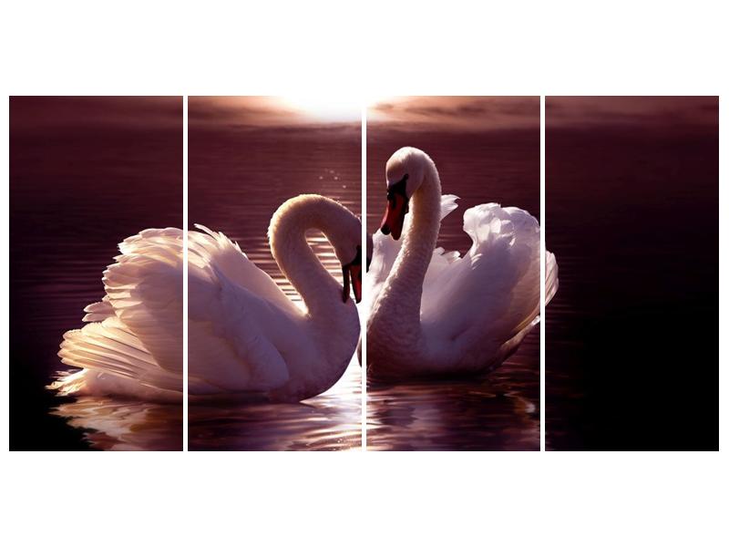 Obraz labutí na jezeře  (F002698F16080)