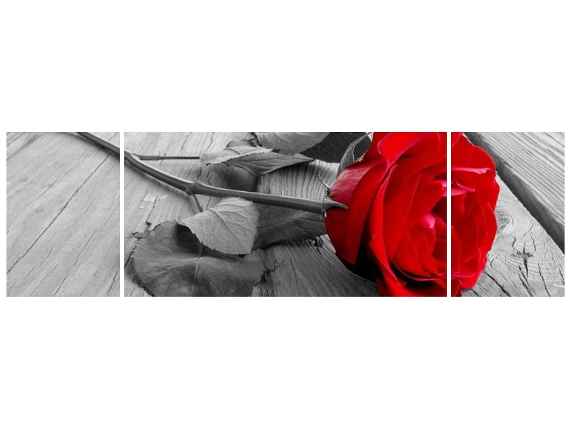 Obraz růže (F000484F17050)