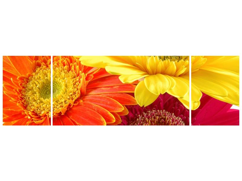 Obraz květin (F000514F17050)