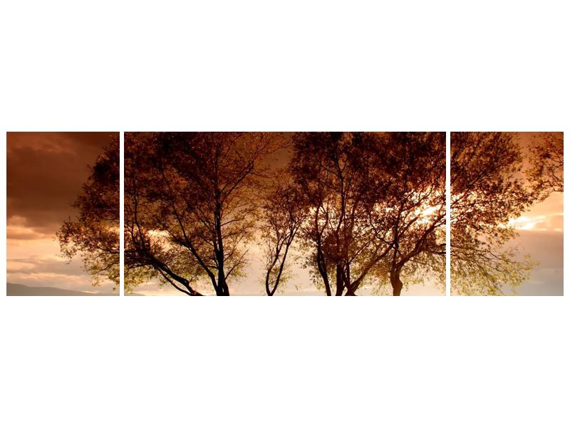 Obraz stromů (F000520F17050)