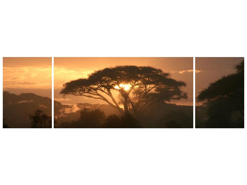 Obraz stromu a západu slunce (F000523F17050)