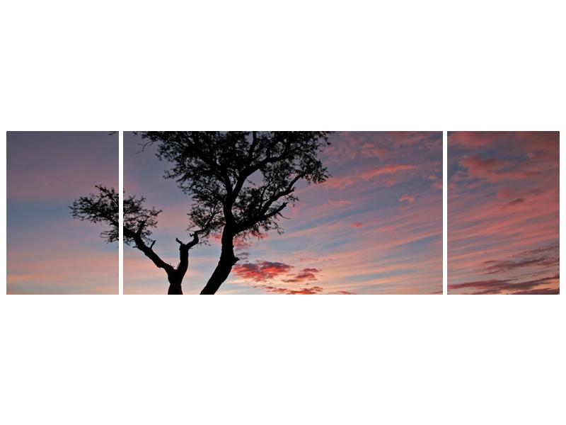 Obraz stromu a červánků (F000530F17050)