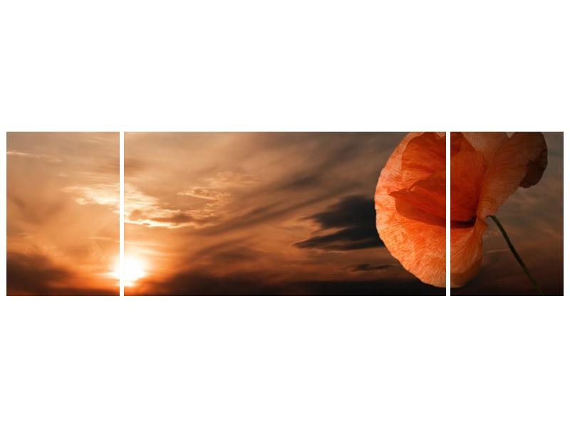 Obraz západu slunce (F000604F17050)