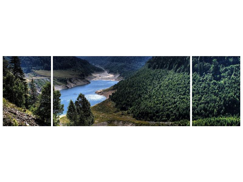 Obraz řeky a hor (F000615F17050)