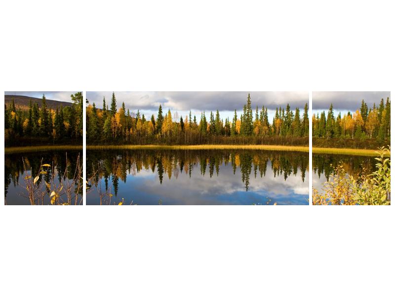 Obraz rybníka u lesa (F001637F17050)