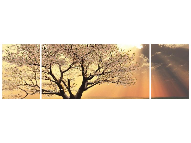 Obraz kvetoucího stromu (F002280F17050)