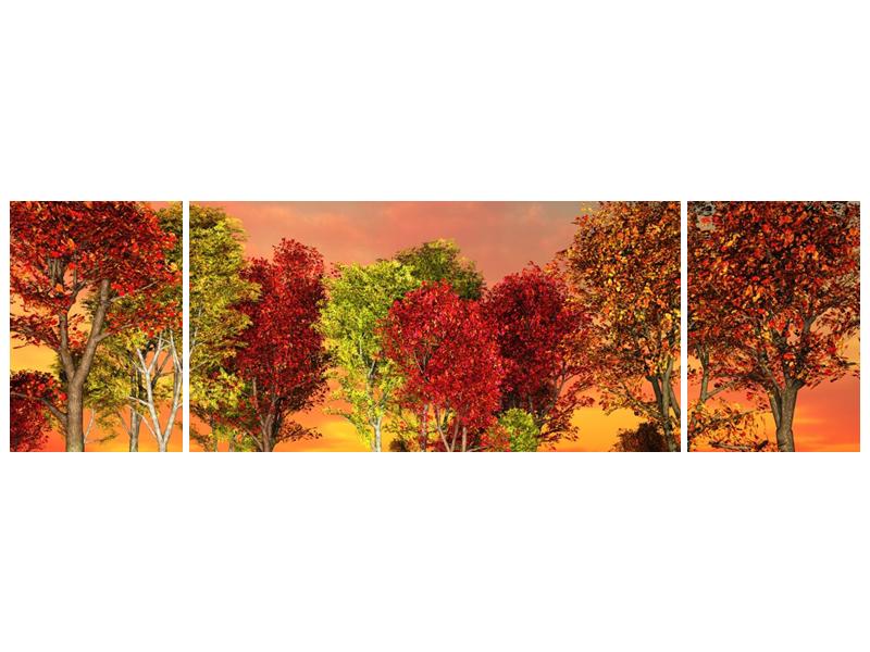 Obraz barevných stromů (F002283F17050)