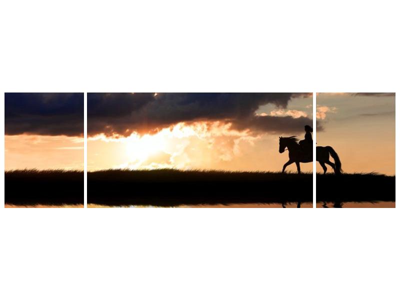 Obraz jezdce na koni při západu slunce  (F002717F17050)