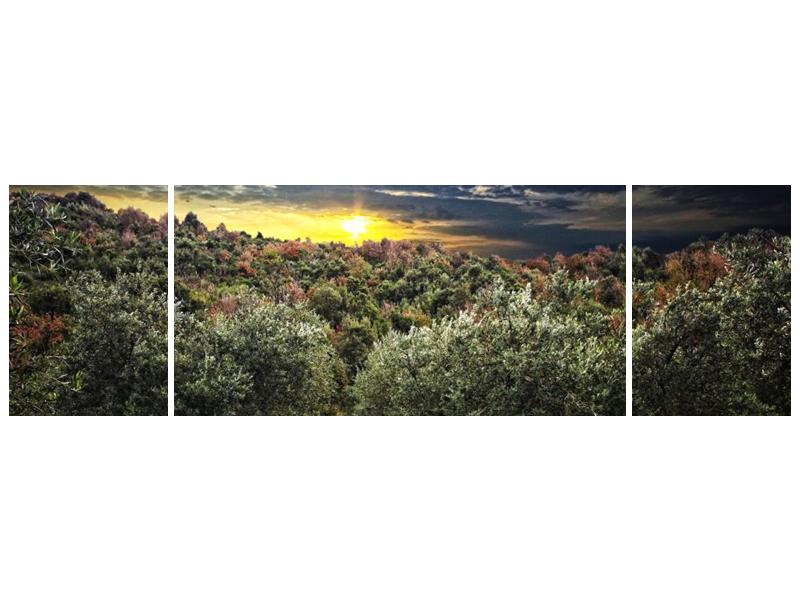 Obraz lesa za soumraku  (F002903F17050)