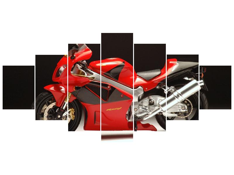 Obraz silniční motorky (F000465F210100)