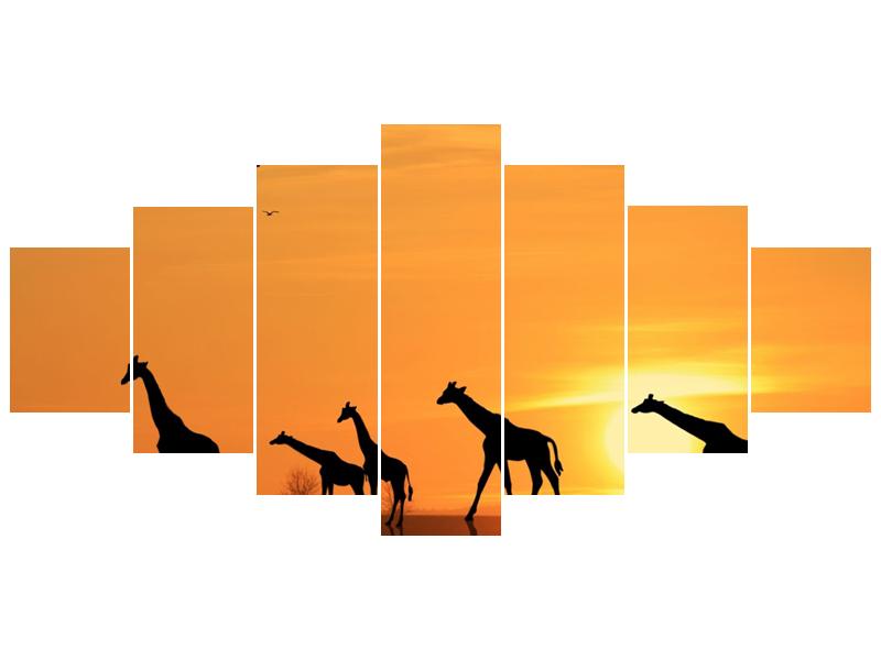 Obraz žiraf v západu slunce (F001074F210100)