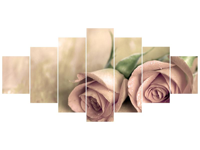 Obraz jemných růží (F001212F210100)