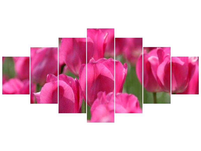 Obraz růžových tulipánů  (F002627F210100)