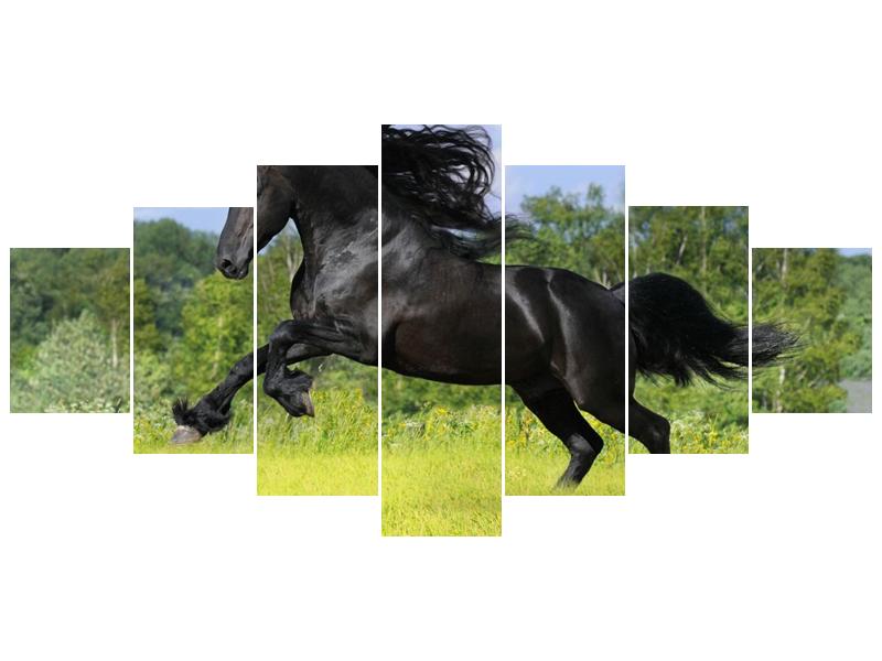 Obraz koně s rozevlátou hřívou  (F002685F210100)