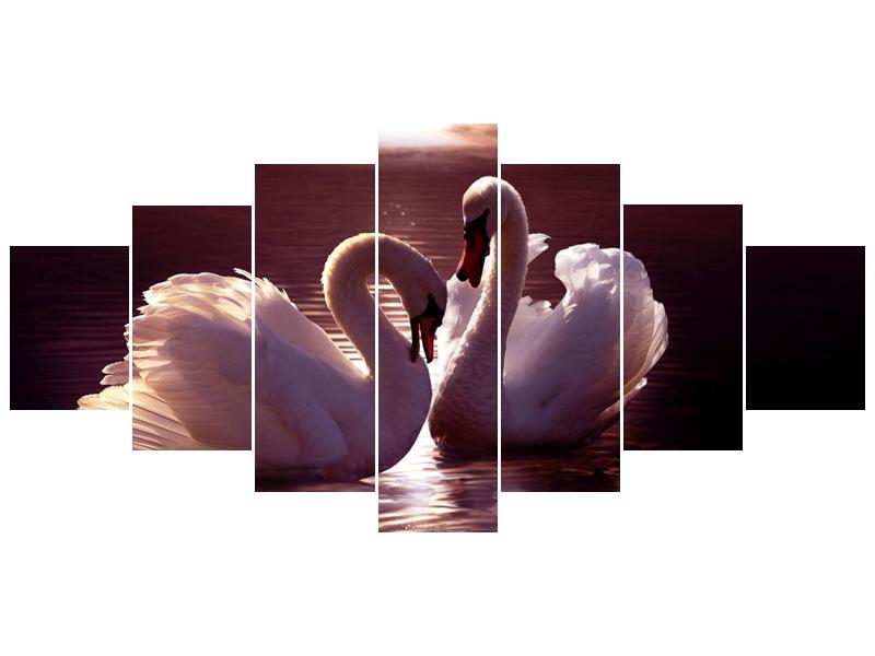 Obraz labutí na jezeře  (F002698F210100)