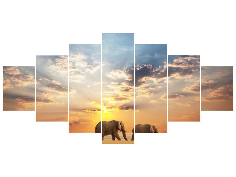 Obraz slonů putujících svanou  (F002703F210100)
