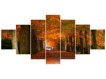 Krásný obraz aleje stromů na podzim