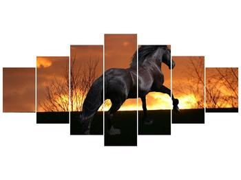 Obraz koně