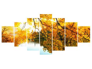 Jesenný obraz stromu