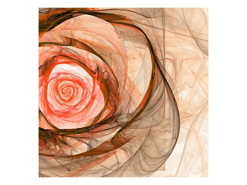 Abstraktní obraz - růže (F000794F3030)