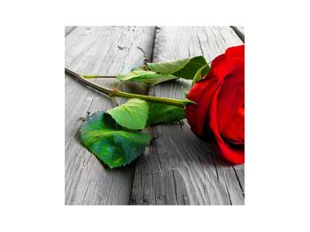 Piros rózsa képe