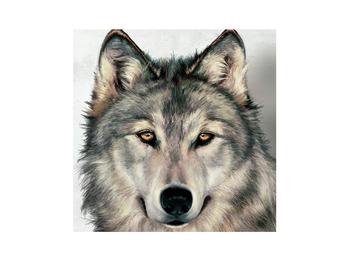 Obraz vlka (K013341K3030)