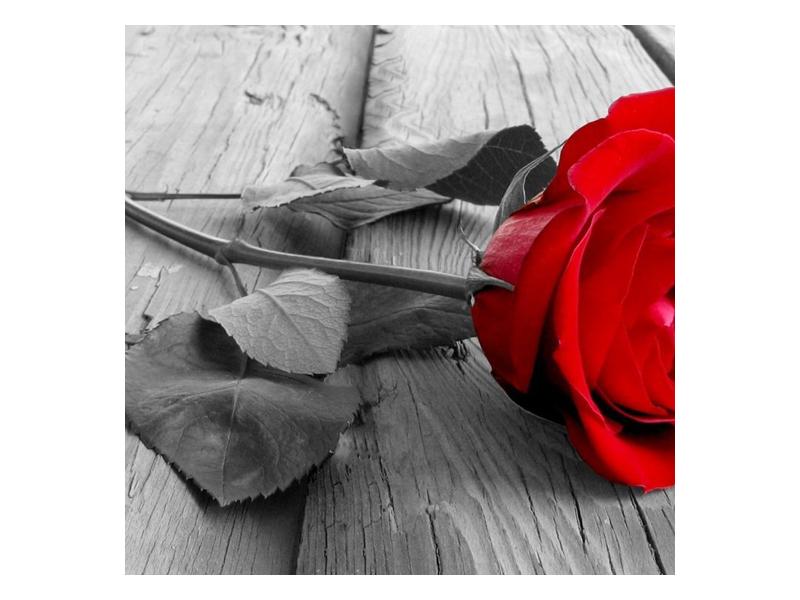 Obraz růže (F000484F5050)
