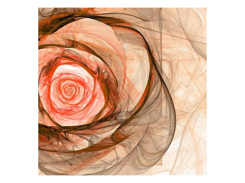 Abstraktní obraz - růže (F000794F5050)