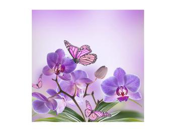 Obraz motýľa na kvetoch orchidee