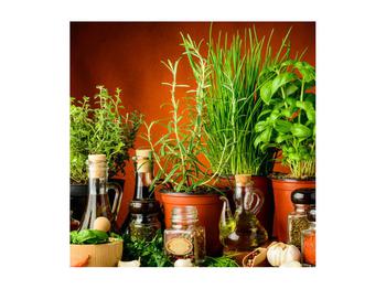 Tablou cu plante și condimente