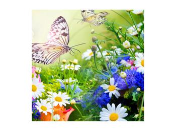 Nyári virágok és a lepke képe (K012220K5050)