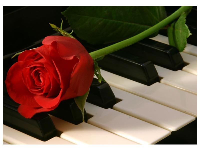 Obraz klavíru a růže (F000382F7050)