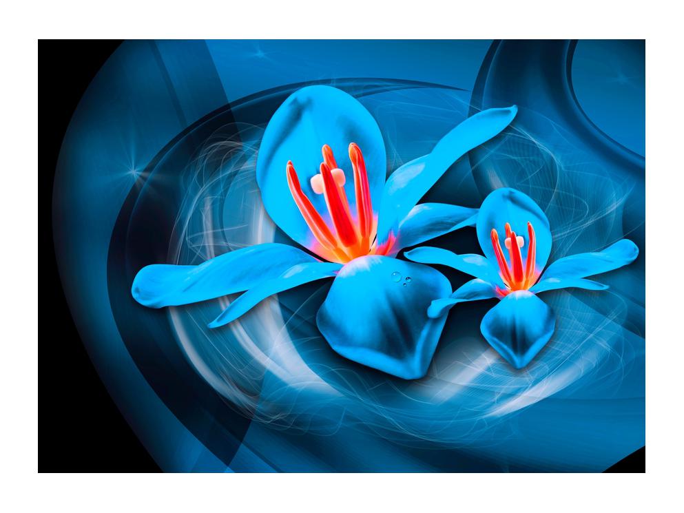 Moderna plava slika cvijeća